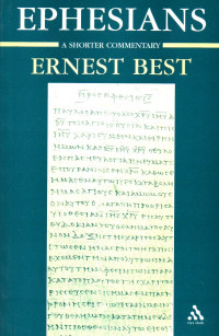 Image of Ephesians : A shorter commentary